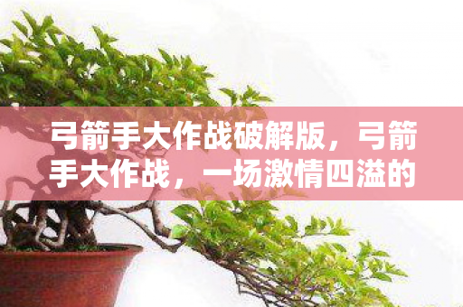 弓箭手大作战破解版,弓箭手大作战,一场激情四溢的竞技盛宴 弓箭手大作战破解版,弓箭手大作战,一场激情四溢的竞技盛宴