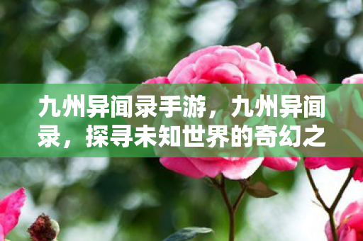 九州异闻录手游,九州异闻录,探寻未知世界的奇幻之旅 九州异闻录手游,九州异闻录,探寻未知世界的奇幻之旅