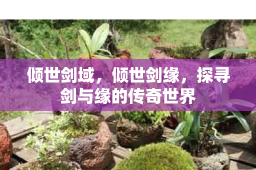 倾世剑域,倾世剑缘,探寻剑与缘的传奇世界 倾世剑域,倾世剑缘,探寻剑与缘的传奇世界