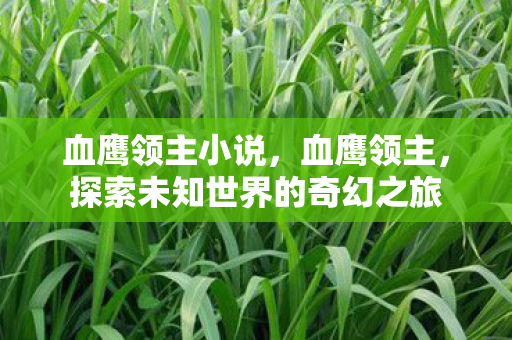 血鹰领主小说,血鹰领主,探索未知世界的奇幻之旅 血鹰领主小说,血鹰领主,探索未知世界的奇幻之旅