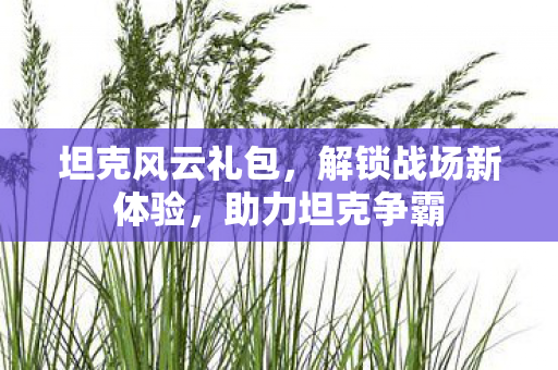 坦克风云礼包,解锁战场新体验,助力坦克争霸 坦克风云礼包,解锁战场新体验,助力坦克争霸