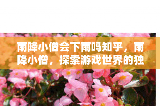 雨降小僧会下雨吗知乎,雨降小僧,探索游戏世界的独特魅力 雨降小僧会下雨吗知乎,雨降小僧,探索游戏世界的独特魅力