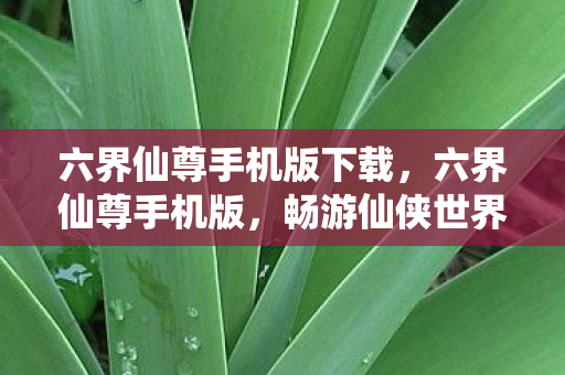 六界仙尊手机版下载,六界仙尊手机版,畅游仙侠世界的便捷之选 六界仙尊手机版下载,六界仙尊手机版,畅游仙侠世界的便捷之选