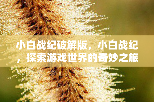小白战纪破解版，小白战纪，探索游戏世界的奇妙之旅