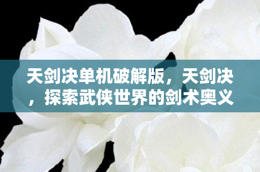 天剑决单机破解版,天剑决,探索武侠世界的剑术奥义 天剑决单机破解版,天剑决,探索武侠世界的剑术奥义