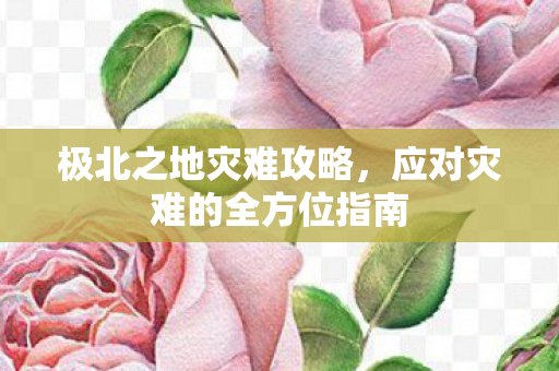 极北之地灾难攻略,应对灾难的全方位指南 极北之地灾难攻略,应对灾难的全方位指南