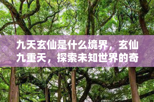 九天玄仙是什么境界，玄仙九重天，探索未知世界的奇幻之旅