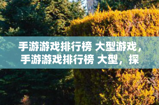 手游游戏排行榜 大型游戏,手游游戏排行榜 大型,探索热门游戏的魅力与趋势 手游游戏排行榜 大型游戏,手游游戏排行榜 大型,探索热门游戏的魅力与趋势