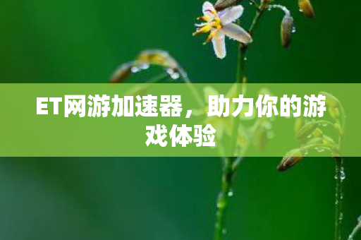 ET网游加速器，助力你的游戏体验