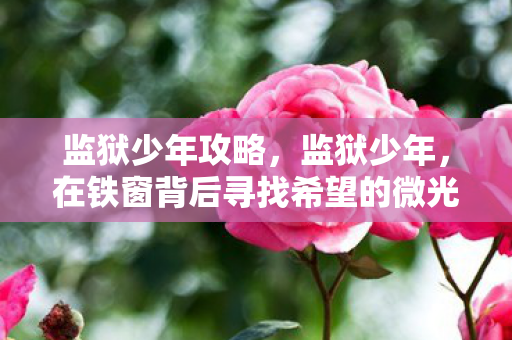 监狱少年攻略,监狱少年,在铁窗背后寻找希望的微光 监狱少年攻略,监狱少年,在铁窗背后寻找希望的微光
