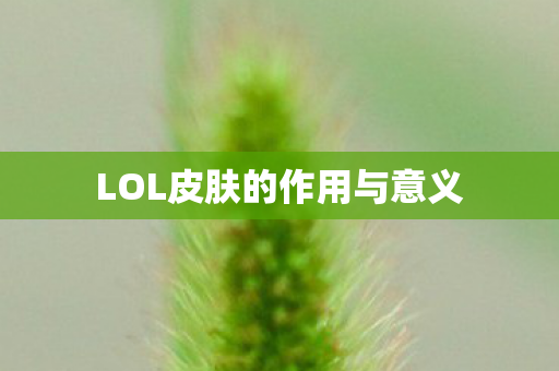 LOL皮肤的作用与意义 LOL皮肤的作用与意义
