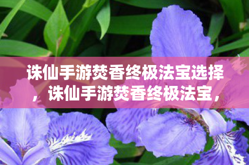诛仙手游焚香终极法宝选择,诛仙手游焚香终极法宝,解锁焚香门派的终极力量 诛仙手游焚香终极法宝选择,诛仙手游焚香终极法宝,解锁焚香门派的终极力量