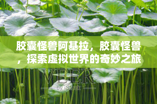 胶囊怪兽阿基拉,胶囊怪兽,探索虚拟世界的奇妙之旅 胶囊怪兽阿基拉,胶囊怪兽,探索虚拟世界的奇妙之旅