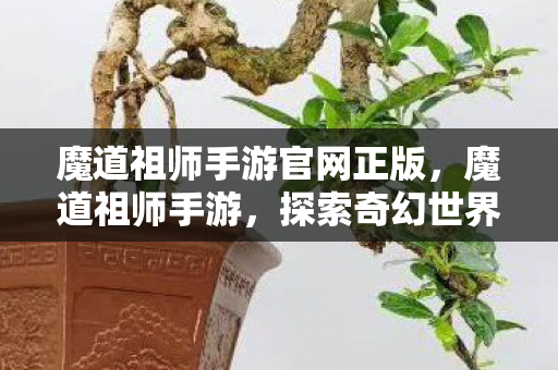 魔道祖师手游官网正版,魔道祖师手游,探索奇幻世界的奇妙之旅 魔道祖师手游官网正版,魔道祖师手游,探索奇幻世界的奇妙之旅