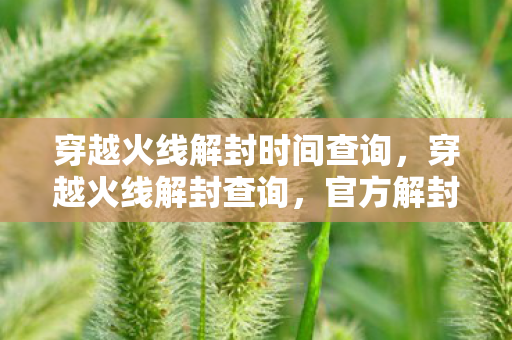 穿越火线解封时间查询,穿越火线解封查询,官方解封途径与注意事项 穿越火线解封时间查询,穿越火线解封查询,官方解封途径与注意事项