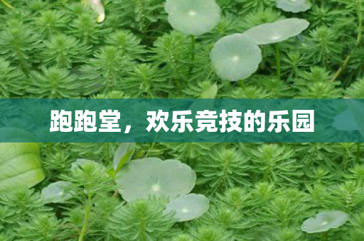 跑跑堂，欢乐竞技的乐园