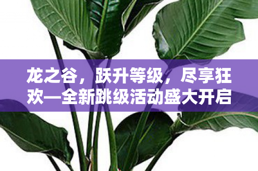 龙之谷,跃升等级,尽享狂欢—全新跳级活动盛大开启 龙之谷,跃升等级,尽享狂欢—全新跳级活动盛大开启