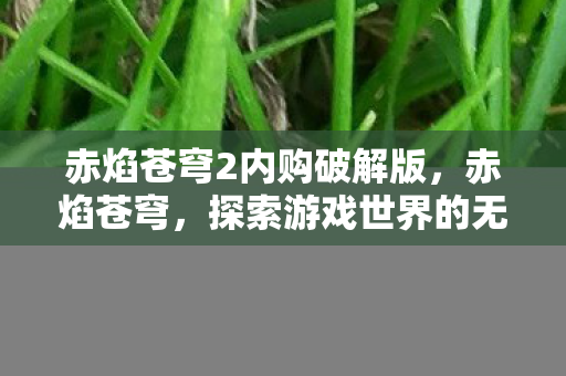 赤焰苍穹2内购破解版,赤焰苍穹,探索游戏世界的无限可能 赤焰苍穹2内购破解版,赤焰苍穹,探索游戏世界的无限可能