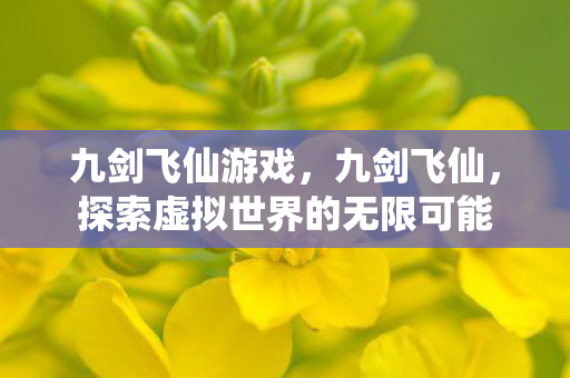 九剑飞仙游戏，九剑飞仙，探索虚拟世界的无限可能