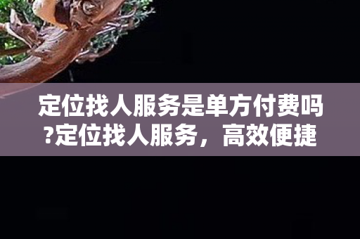 定位找人服务是单方付费吗?定位找人服务，高效便捷，重塑现代生活