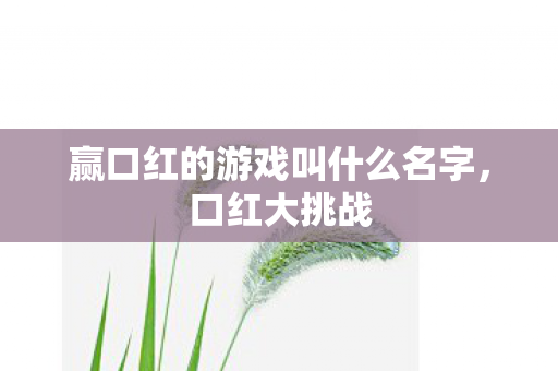 赢口红的游戏叫什么名字,口红大挑战 赢口红的游戏叫什么名字,口红大挑战