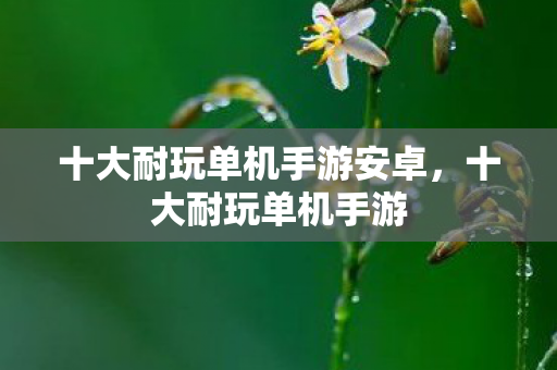 十大耐玩单机手游安卓,十大耐玩单机手游 十大耐玩单机手游安卓,十大耐玩单机手游