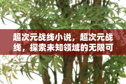 超次元战线小说，超次元战线，探索未知领域的无限可能