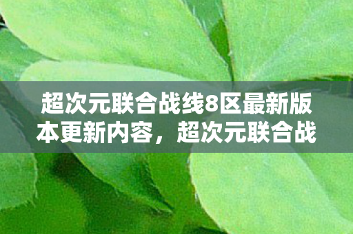 超次元联合战线8区最新版本更新内容,超次元联合战线,探索多元宇宙的无限可能 超次元联合战线8区最新版本更新内容,超次元联合战线,探索多元宇宙的无限可能