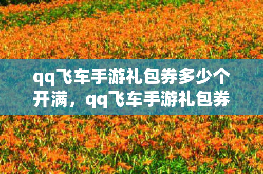 qq飞车手游礼包券多少个开满,qq飞车手游礼包券,解锁速度与激情的钥匙 qq飞车手游礼包券多少个开满,qq飞车手游礼包券,解锁速度与激情的钥匙