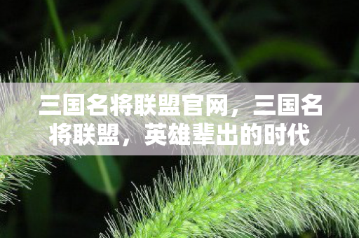 三国名将联盟官网,三国名将联盟,英雄辈出的时代 三国名将联盟官网,三国名将联盟,英雄辈出的时代