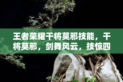王者荣耀干将莫邪技能，干将莫邪，剑舞风云，技惊四座的绝世剑技
