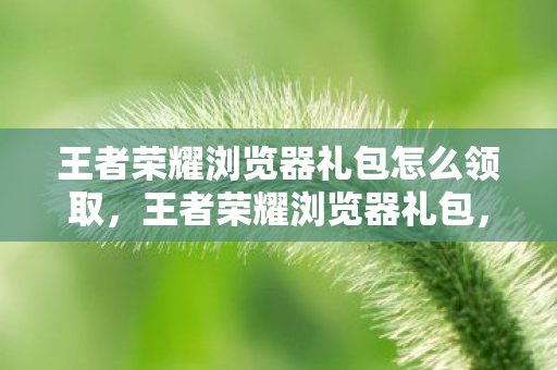 王者荣耀浏览器礼包怎么领取,王者荣耀浏览器礼包,解锁游戏新体验,尽享福利不停歇 王者荣耀浏览器礼包怎么领取,王者荣耀浏览器礼包,解锁游戏新体验,尽享福利不停歇