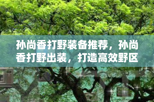 孙尚香打野装备推荐,孙尚香打野出装,打造高效野区统治力 孙尚香打野装备推荐,孙尚香打野出装,打造高效野区统治力