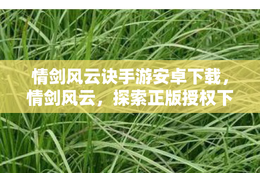 情剑风云诀手游安卓下载,情剑风云,探索正版授权下的游戏世界 情剑风云诀手游安卓下载,情剑风云,探索正版授权下的游戏世界
