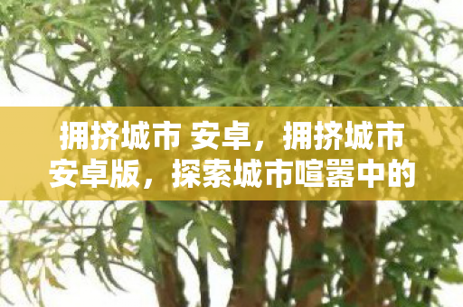 拥挤城市 安卓,拥挤城市安卓版,探索城市喧嚣中的生存法则 拥挤城市 安卓,拥挤城市安卓版,探索城市喧嚣中的生存法则