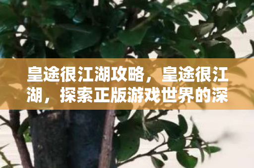 皇途很江湖攻略,皇途很江湖,探索正版游戏世界的深度与广度 皇途很江湖攻略,皇途很江湖,探索正版游戏世界的深度与广度