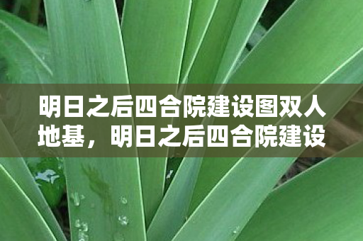 明日之后四合院建设图双人地基,明日之后四合院建设图,打造你的专属庄园 明日之后四合院建设图双人地基,明日之后四合院建设图,打造你的专属庄园