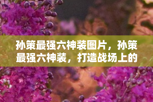 孙策最强六神装图片，孙策最强六神装，打造战场上的无双猛将
