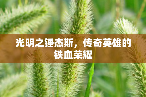光明之锤杰斯,传奇英雄的铁血荣耀 光明之锤杰斯,传奇英雄的铁血荣耀