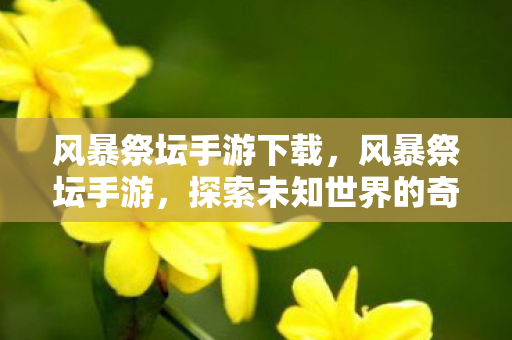 风暴祭坛手游下载，风暴祭坛手游，探索未知世界的奇幻之旅
