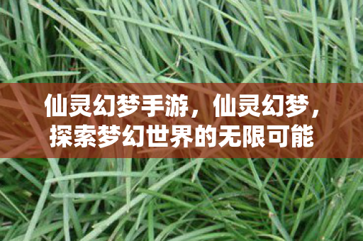 仙灵幻梦手游,仙灵幻梦,探索梦幻世界的无限可能 仙灵幻梦手游,仙灵幻梦,探索梦幻世界的无限可能