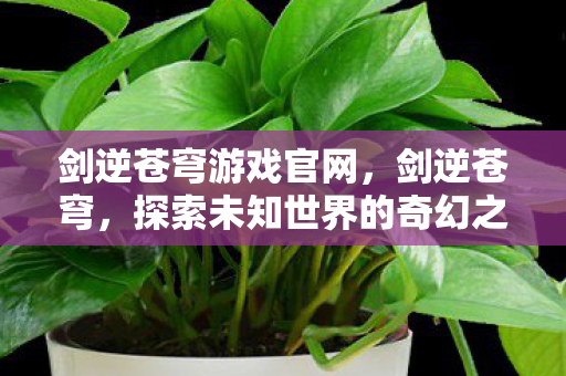 剑逆苍穹游戏官网，剑逆苍穹，探索未知世界的奇幻之旅