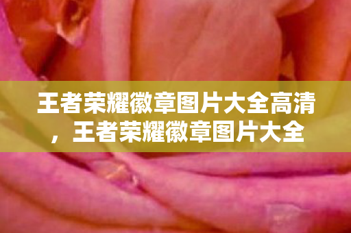 王者荣耀徽章图片大全高清,王者荣耀徽章图片大全 王者荣耀徽章图片大全高清,王者荣耀徽章图片大全