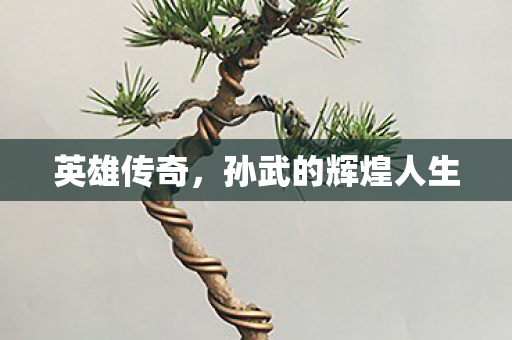 英雄传奇，孙武的辉煌人生