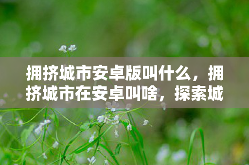 拥挤城市安卓版叫什么,拥挤城市在安卓叫啥,探索城市建造与管理的另类乐趣 拥挤城市安卓版叫什么,拥挤城市在安卓叫啥,探索城市建造与管理的另类乐趣