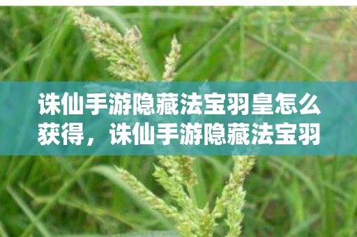 诛仙手游隐藏法宝羽皇怎么获得，诛仙手游隐藏法宝羽皇，探寻神秘力量的秘密