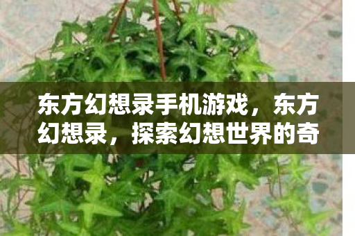 东方幻想录手机游戏,东方幻想录,探索幻想世界的奇妙之旅 东方幻想录手机游戏,东方幻想录,探索幻想世界的奇妙之旅