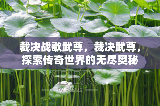 裁决战歌武尊,裁决武尊,探索传奇世界的无尽奥秘 裁决战歌武尊,裁决武尊,探索传奇世界的无尽奥秘
