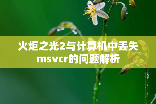 火炬之光2与计算机中丢失msvcr的问题解析