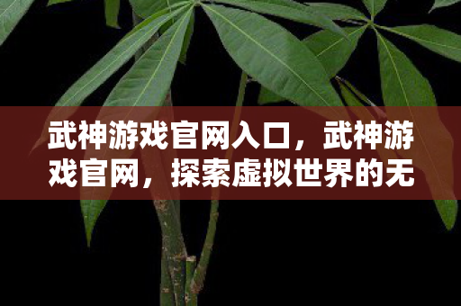 武神游戏官网入口,武神游戏官网,探索虚拟世界的无尽可能 武神游戏官网入口,武神游戏官网,探索虚拟世界的无尽可能